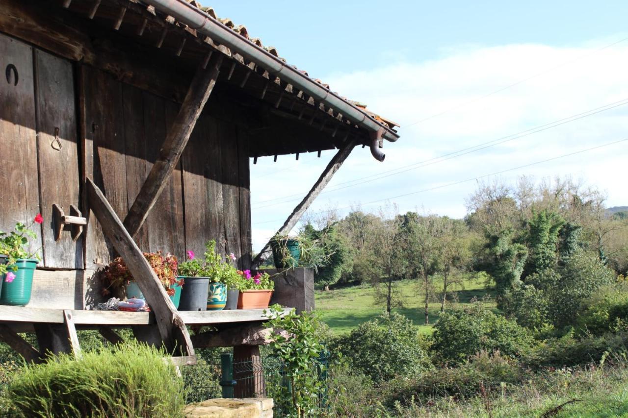 El Llagar - Sagasta Rural Oviedo Guest House Luaran gambar