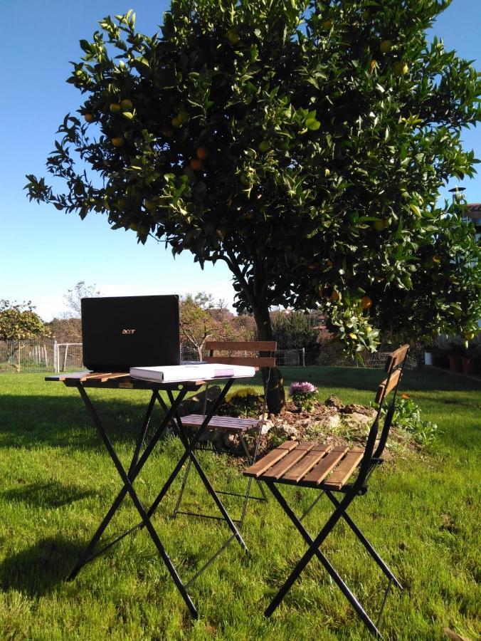 El Llagar - Sagasta Rural Oviedo Guest House Luaran gambar